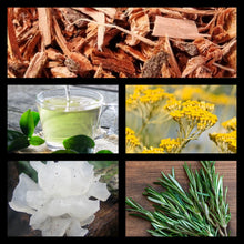 Load image into Gallery viewer, Tickle Tea Gel Cleanser