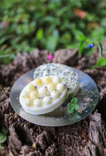 Load image into Gallery viewer, Lavender Mint Dog Shampoo Bar