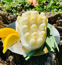 Load image into Gallery viewer, Lemon and Cedarwood Doggie Soap Bar