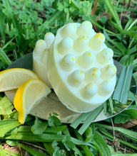 Load image into Gallery viewer, Lemon and Cedarwood Doggie Soap Bar